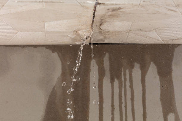 Professional Burst Pipe Cleanup technician working in Senoia, GA